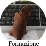 Formazione